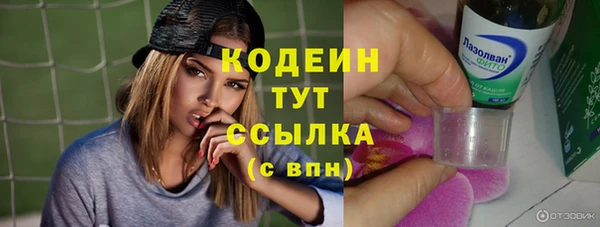 молекула духа Новодвинск