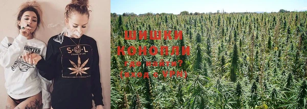 спиды Новозыбков